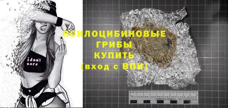 закладки  Усмань  ссылка на мегу   Галлюциногенные грибы MAGIC MUSHROOMS 